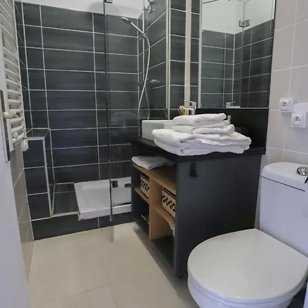 Royalement Bien ! Hyper-centre - Wifi - Netflix - Apartamento Annecy